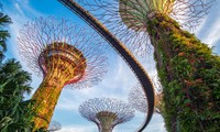 Việt Nam là 1 trong 10 thị trường du lịch quan trọng của Singapore