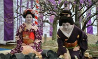Khám phá cuộc sống của một Geisha Nhật Bản