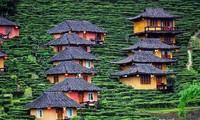 Ngôi làng trên đồi chè đẹp như bích họa ở Thái Lan 