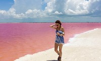 Vẻ đẹp siêu thực của hồ nước màu hồng ‘có một không hai’ ở Mexico