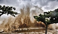 [ẢNH] Bão số 10 vào bờ: Bãi biển Sầm Sơn tan hoang trong sóng dữ