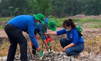Đồng Tháp phát động chương trình trồng 1 tỷ cây xanh - Vì một Việt Nam xanh