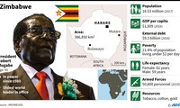 [Infographics] Toàn cảnh cuộc chính biến tại Zimbabwe