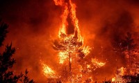 ‘Lá phổi xanh&apos; Amazon chìm trong biển lửa