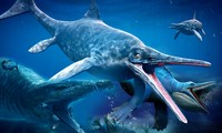 Lộ diện 5 loài quái vật khủng khiếp nhất đại dương