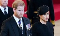 Chuyên gia ngôn ngữ cơ thể phân tích việc Meghan Markle và Harry nắm tay nhau ở lễ tang Nữ hoàng