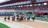 Trường đua ngựa hơn 400 triệu USD sẽ được xây dựng tại xã Tân Minh, huyện Sóc Sơn