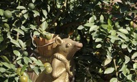 Chuột cõng quất, 1 thế cây bonsai theo 12 con giáp được tung ra thị trường dịp Tết