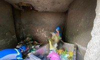 Các công nhân vệ sinh môi trường quận Nam Từ Liêm hiện đang chật vật với cuộc sống vì bị nợ lương