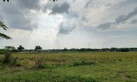 Khu đất xã Mai Đình, huyện Sóc Sơn dự kiến xây dựng CCN CN2.