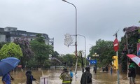 Cất vó đánh cá trên đường tại thành phố Vĩnh Yên đợt mưa lớn vừa qua.