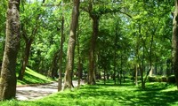 Hà Nội đề xuất xây dựng công viên rừng trên đất di dời nhà máy