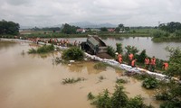 Hà Nội: Báo động lũ trên sông Bùi tại huyện Chương Mỹ, Mỹ Đức