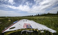 Mảnh vỡ MH17 tại hiện trường tai nạn. Ảnh: AFP