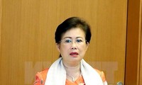 Bà Phan Thị Mỹ Thanh, Phó Bí thư Đồng Nai