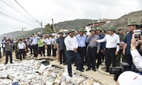 Phó Thủ tướng Trịnh Đình Dũng kiểm tra công tác phòng chống bão tại Bình Định (ảnh N.B)