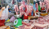 Thủ tướng yêu cầu sớm giảm giá thịt lợn