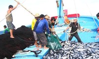 Thủ tướng phê bình 4 tỉnh để tàu cá vi phạm vùng biển nước ngoài