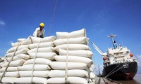 Thủ tướng: Nghiên cứu tinh giản đầu mối xuất khẩu gạo 