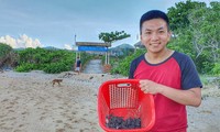 9X bảo tồn thiên nhiên bằng cách “đỡ đẻ” cho rùa biển