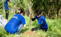 Chiến sĩ tình nguyện TP. Thủ Đức (TP. HCM) ra quân trồng mới hơn 2.000 cây xanh