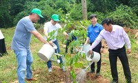 Chương trình ‘Triệu cây xanh - Vì một Việt Nam xanh’ khởi động tại tỉnh Bình Thuận