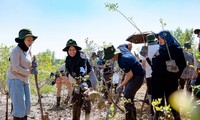 Bạn trẻ ASEAN và Nhật Bản cùng trồng cây xanh tại rừng ngập mặn Cần Giờ (TP. HCM)