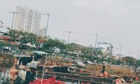 Chợ hoa Xuân ‘Trên bến dưới thuyền’ TP. HCM bắt đầu hoạt động từ ngày 25/1
