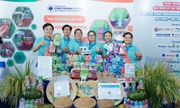 Bánh gạo Synbiotic đoạt giải Đặc biệt cuộc thi ‘Food Innovation and Development 2024’