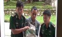 Nam thanh niên người Lào tìm cách chuyển gần 48.000 viên ma tuý tổng hợp vào Việt Nam tiêu thụ