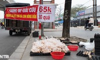 Sự thật chiêu &apos;giải cứu&apos; trứng gà giá siêu rẻ bán tràn vỉa hè Hà Nội