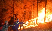 Cháy rừng ở Hà Tĩnh: Biển lửa lan rộng, uy hiếp đường dây 500KV