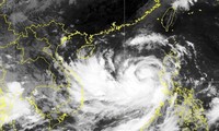 Chuyên gia quốc tế: Bão Noru tiệm cận một siêu bão