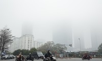 Việt Nam sẽ quan trắc tự động thuỷ ngân trong không khí