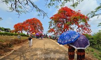 Điện Biên Phủ là điểm du lịch được tìm kiếm nhiều nhất Việt Nam
