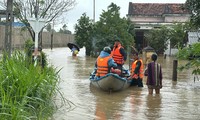 Mưa lớn kéo dài ở miền Trung, lũ trên sông Vệ trên báo động 3