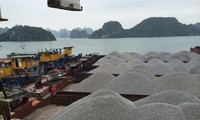 Hàng loạt tàu chở đá VLXD bị ách tại cảng Cẩm Phả vì công văn hỏa tốc của Tổng cục Hải quan 