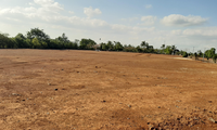 Nhiều khu vực đất nông nghiệp tại Gia Lai bị xé lẻ để tách thửa