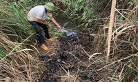 Trạm trộn ‘vô chủ’ ở Đắk Nông gây ô nhiễm môi trường