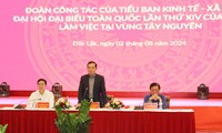 Phó Thủ tướng Trần Lưu Quang: Tây Nguyên cần có cơ chế đặc thù 