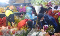 Chợ hoa đêm nhộn nhịp trước ngày Valentine dù mưa rét