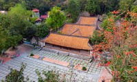 Mê mẩn ngắm hoa gạo nở đỏ rực bên ngôi chùa nghìn năm tuổi tại Hà Nội