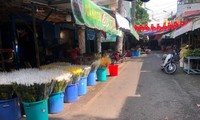 Kiến nghị mở lại chợ hoa Đầm Sen dịp Tết Đoan Ngọ