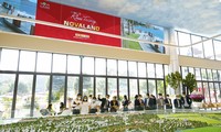 Novaland chậm trả lãi lô trái phiếu quốc tế gần 300 triệu USD