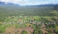Bình Thuận khai thác hơn 600 ha rừng xây hồ thuỷ lợi