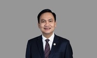 Chủ tịch Bamboo Capital nói lý do xin từ nhiệm