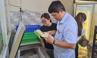 Vụ ngộ độc hơn 50 người ở Bình Thuận: Sở Y tế không thể lấy được mẫu thức ăn
