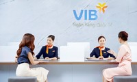 Doanh nghiệp nào vừa chi nghìn tỷ mua cổ phiếu Ngân hàng VIB? 