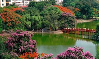 Chủ tịch Hà Nội: Không có chuyện thay cây ở Hồ Gươm