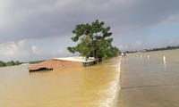 Nước lũ ngập nhiều ngôi nhà sau sự cố đê Bùi 2 ở xã Hoàng Văn Thụ (Chương Mỹ, Hà Nội)